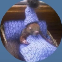 nervous-frog-712 avatar