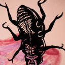 nervous-mermaid avatar