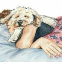 nervous-shadow avatar