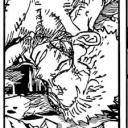 nervousfandomlover avatar