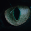 nervoustastemakerzombie avatar