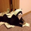 nescafekokusu avatar