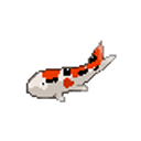 nesevis-finds avatar