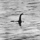 nessiealliance avatar