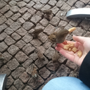 nessiesnessiness avatar