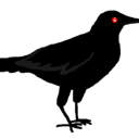 nestofthought avatar