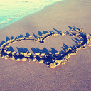 nesvieira-blog avatar