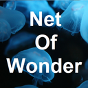 net-of-wonder avatar