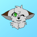 netomethewolf avatar