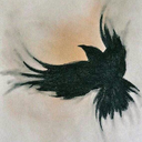 nettle-and-bone-blog avatar