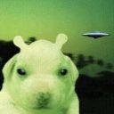 nettle-leaves avatar