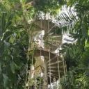 nettleandthorne avatar