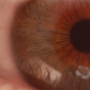 neural-impulse-blog avatar