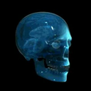 neurocienciasociales avatar