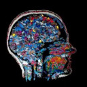 neuroscience-corner avatar