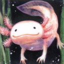 neutralfishhotel avatar