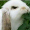 never-be-bored-rpprompts avatar