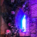 never-forget-this avatar