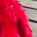 never-let-me-go-ok avatar