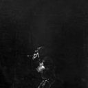 never-mind-ms avatar