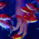 never-on-neptune avatar