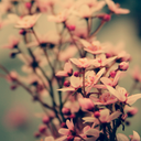 never-quite-awake avatar