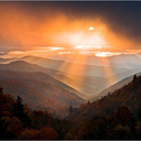 neverbetter64 avatar