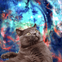 nevercomemonday-blog avatar