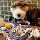 nevercominghxme avatar