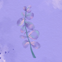 nevercouldbeyou avatar