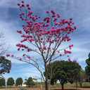 neverdirection avatar