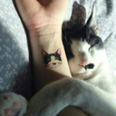 nevereverpets avatar