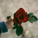 neverforgeturroots avatar