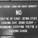 nevergiveup2018 avatar