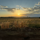 nevergoodatnames2 avatar