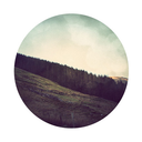 neverlandscape avatar