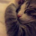 neverleaenedtoread avatar