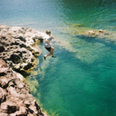 neverlistentoflowers-blog avatar