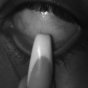 nevermindlool avatar