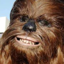 nevermindthewookiee avatar