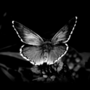 nevermindwchuj-blog avatar