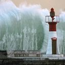 nevermore-nevermore avatar