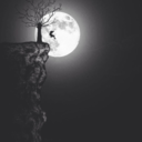 nevermorenomore avatar