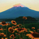 nevernevermore avatar