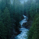 neveronyoursleeve avatar