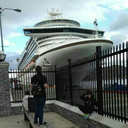 neverputthegundown avatar