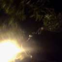 neverreallyhere avatar