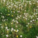 neverrnottnoww avatar