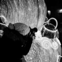 neversawawildthing-sorry avatar