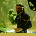 nevertoooldtolovemuppets avatar